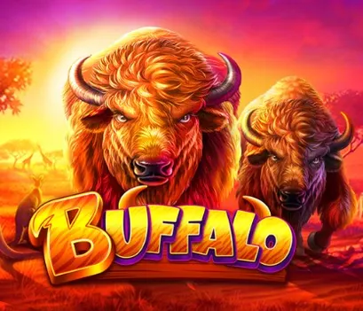 Buffalo King